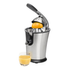 Citruspersen